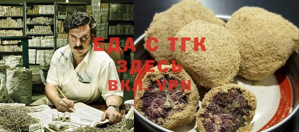 индика Горнозаводск