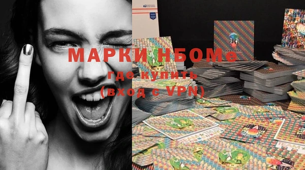 индика Горнозаводск