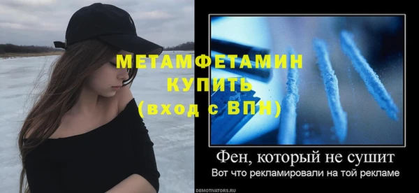 индика Горнозаводск