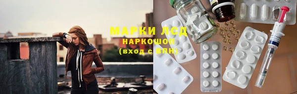 индика Горнозаводск
