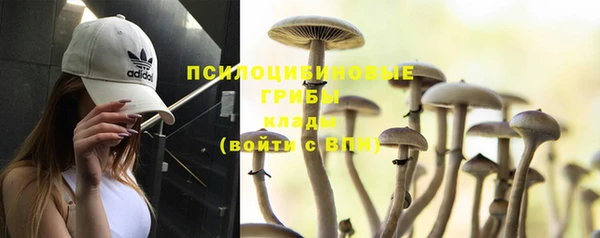 индика Горнозаводск