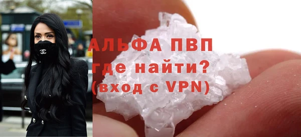 индика Горнозаводск