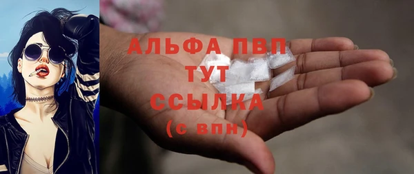 гашик Бердск