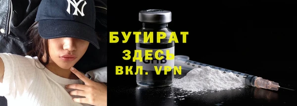 индика Горнозаводск