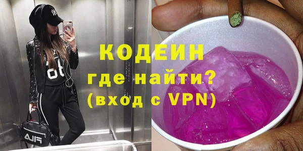 индика Горнозаводск