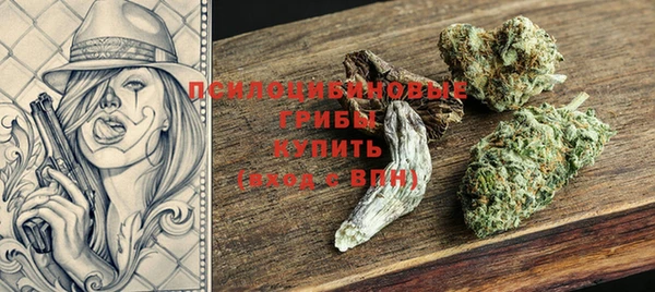 МДПВ Горно-Алтайск