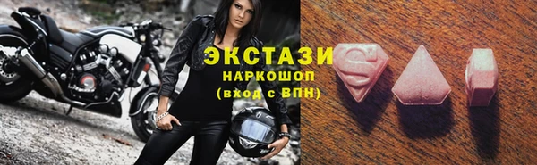 индика Горнозаводск