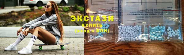 индика Горнозаводск