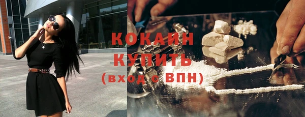 индика Горнозаводск